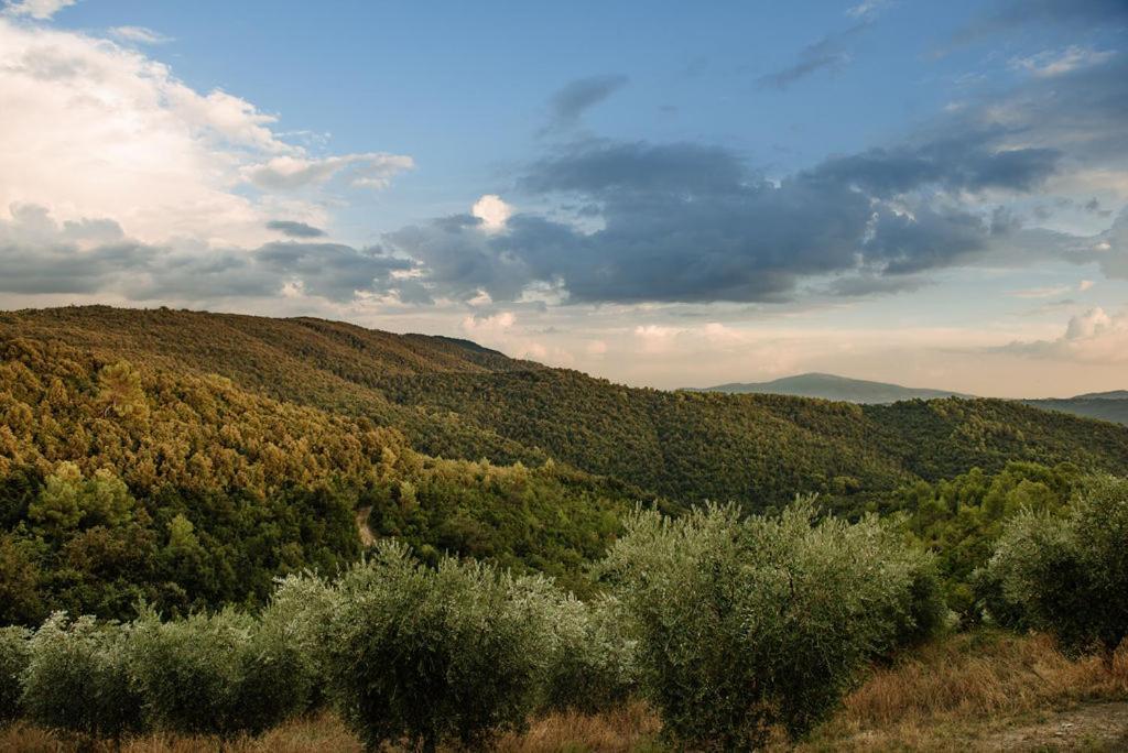 Tenuta Di Forte Sorgnano Gualdo Cattaneo ภายนอก รูปภาพ
