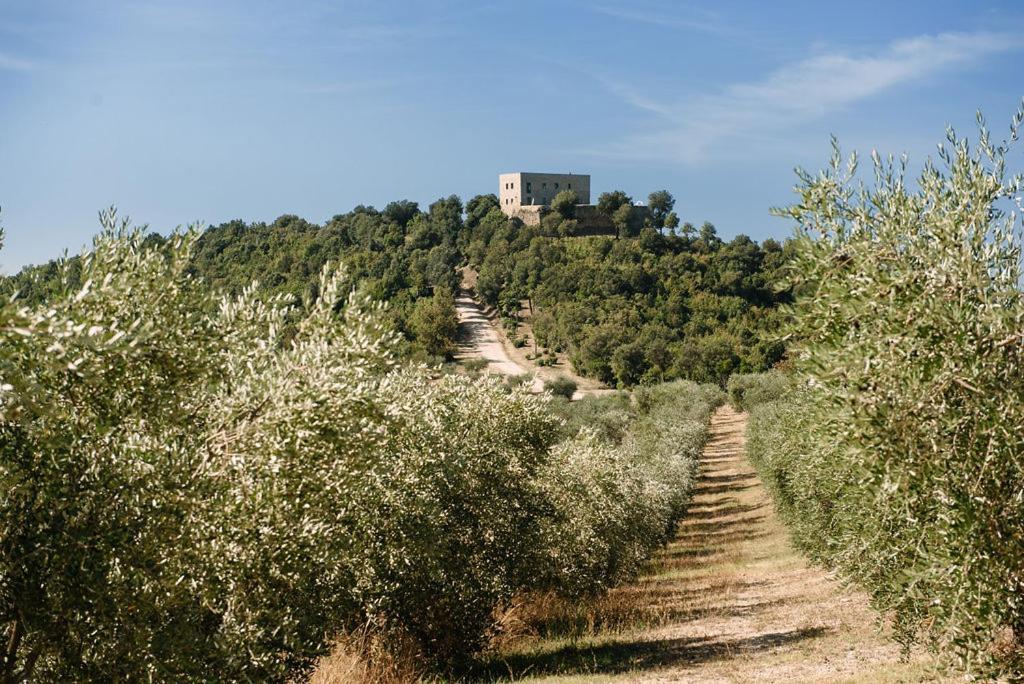 Tenuta Di Forte Sorgnano Gualdo Cattaneo ภายนอก รูปภาพ